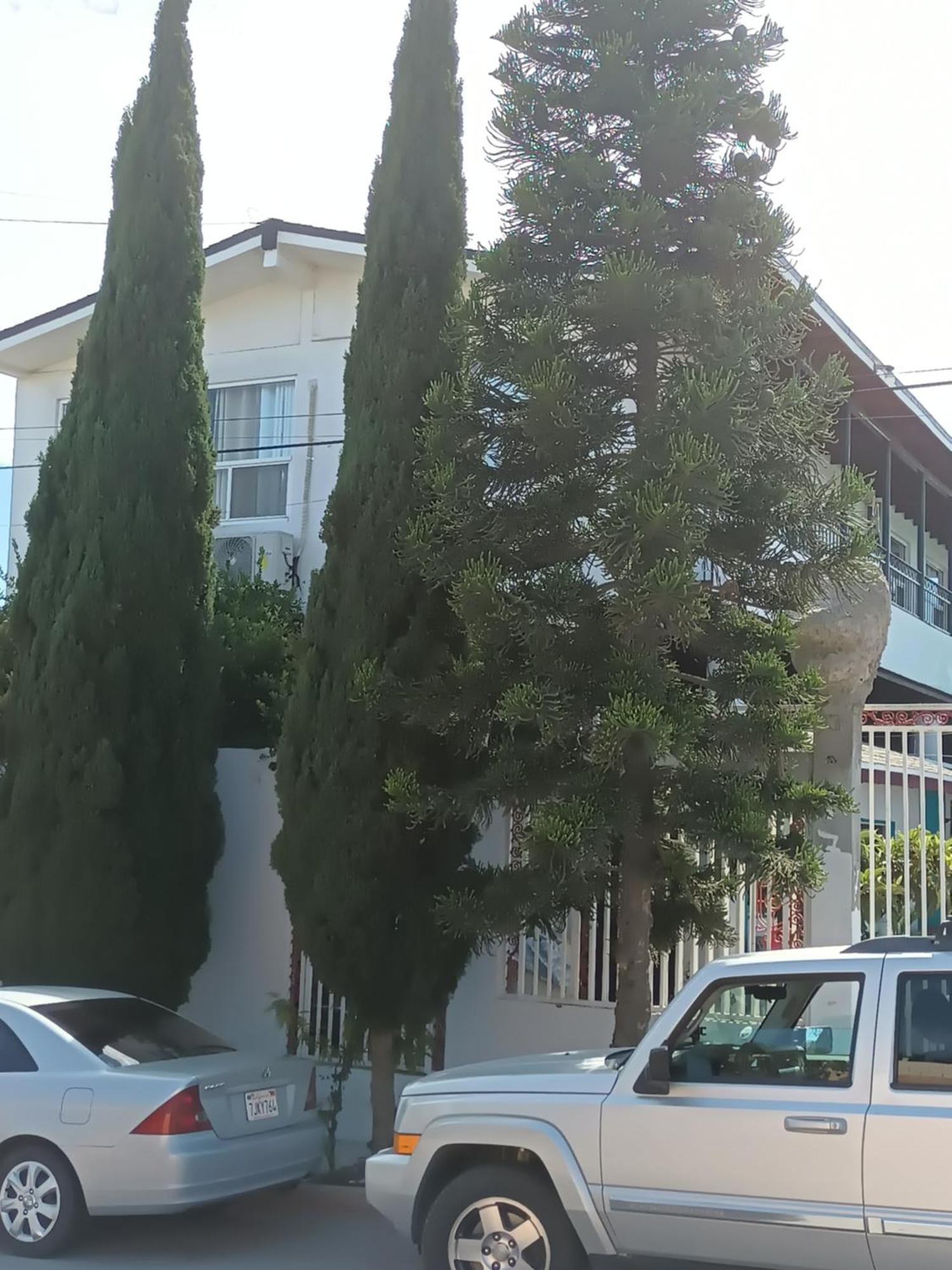Apartamentos Rosarito.!! Con Vista Al Mar ! Ngoại thất bức ảnh